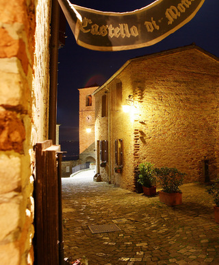 13

Hotels in der Emilia Romagna

Castello di Montegridolfo
